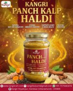 Kangri Panch Haldi (Five Turmeric Blend) - Image 2